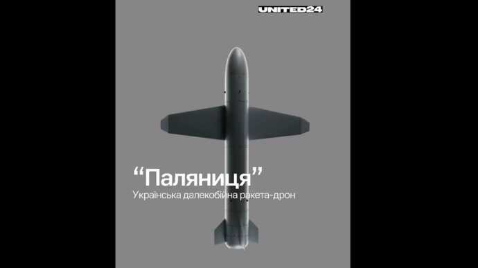 Україна вперше застосувала свою ракету-дрон "Паляниця" по військовій цілі в Криму у серпні – ЗМІ